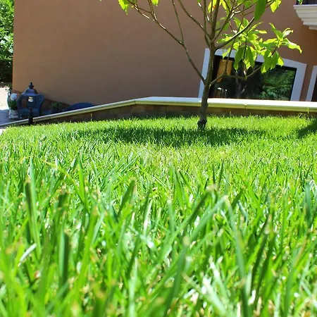 Casale Valleverde Bed & Breakfast