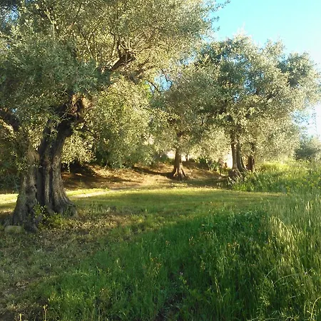 Casale Valleverde Bed & Breakfast *